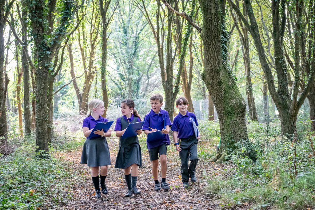 TEACHING & LEARNING - Wickham Church Of England Primary School